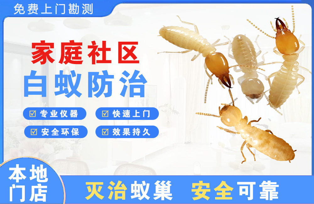 汕尾家庭社区白蚁防治