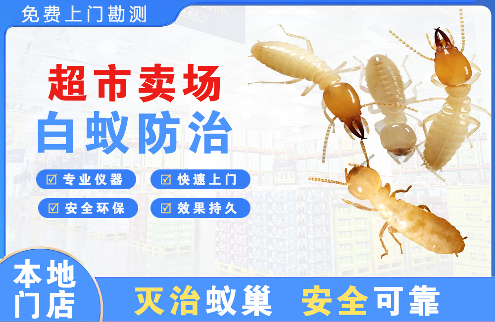 汕尾超市卖场白蚁防治