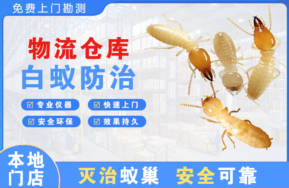 汕尾物流仓库白蚁防治