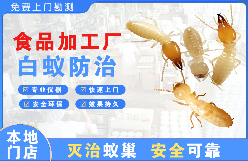 汕尾食品加工厂白蚁防治