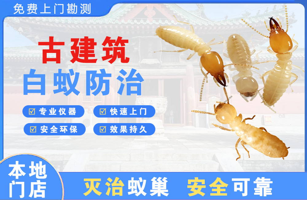 汕尾古建筑白蚁防治