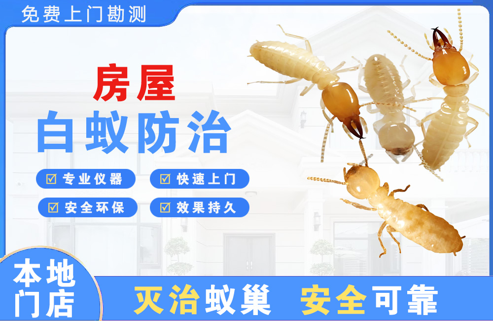 汕尾房屋白蚁防治