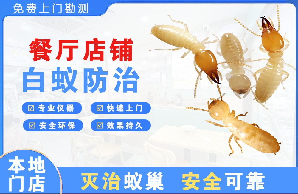 汕尾餐厅店铺白蚁防治